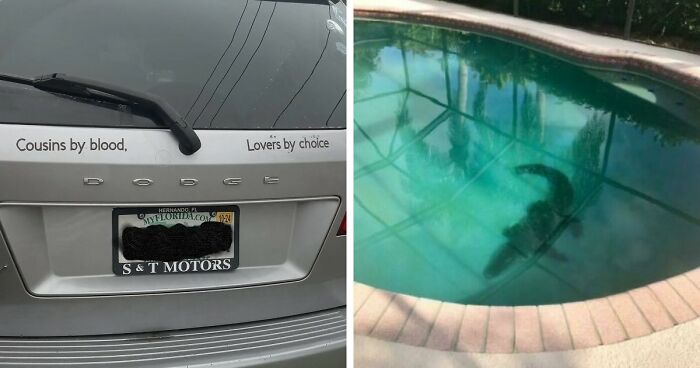 73 Unhinged Moments That Could Only Happen In Florida
