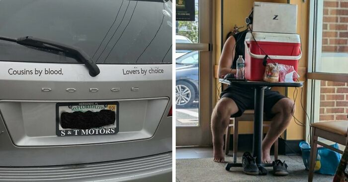 73 Unhinged Moments That Could Only Happen In Florida