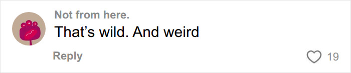 A comment on social media saying That's wild. And weird about a woman moving into a separate apartment for marriage. A comment on social media saying That's wild. And weird about a woman moving into a separate apartment for marriage.