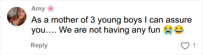 A social media comment from a mother of 3 young boys, explaining reasons shes put off having kids, saying they are not having fun. A social media comment from a mother of 3 young boys, explaining reasons shes put off having kids, saying they are not having fun.