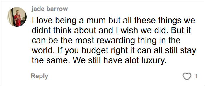 A social media comment from a mum, sharing her experience and reasons for putting off having kids, mentioning rewarding moments and budget. A social media comment from a mum, sharing her experience and reasons for putting off having kids, mentioning rewarding moments and budget.