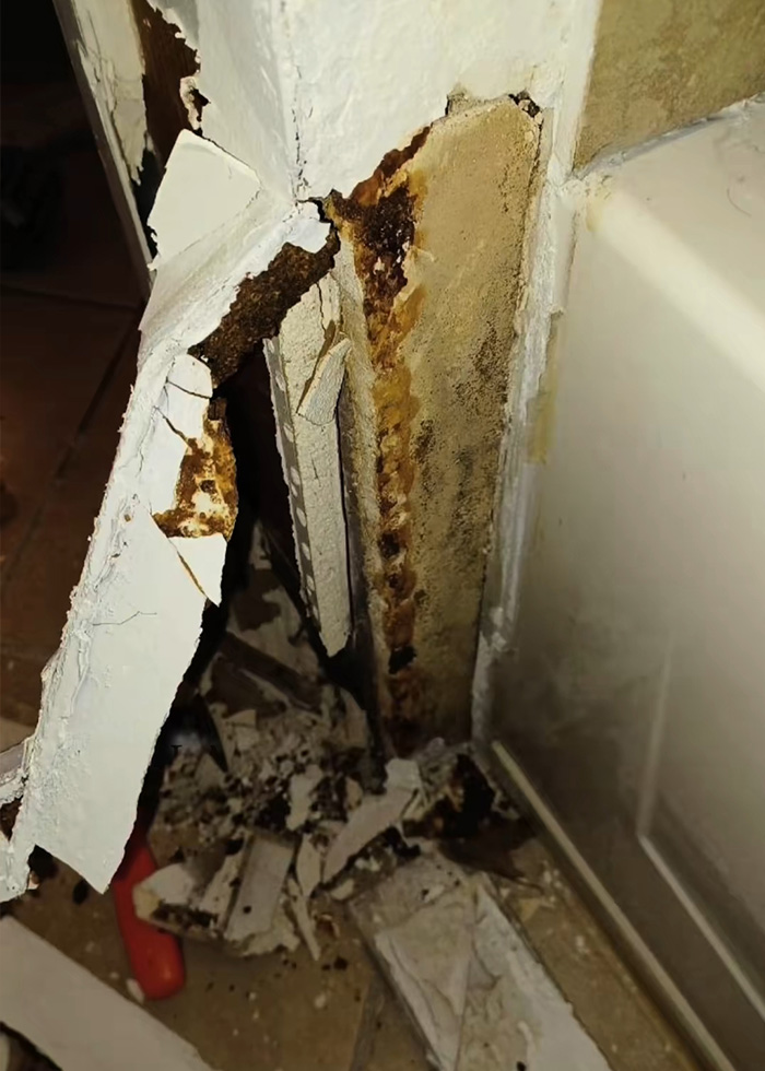 A close-up of a severely water-damaged wall with peeling paint and visible mold, linked to a woman's unexplained symptoms. A close-up of a severely water-damaged wall with peeling paint and visible mold, linked to a woman's unexplained symptoms.