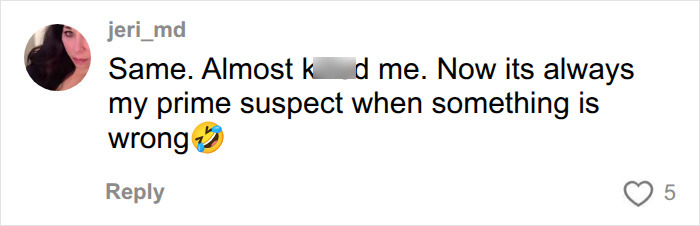 A social media comment from jeri_md agreeing that mold was almost fatal and is now her prime suspect for unexplained symptoms. A social media comment from jeri_md agreeing that mold was almost fatal and is now her prime suspect for unexplained symptoms.