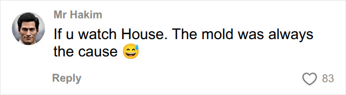 A social media comment suggesting mold as the cause of a woman's unexplained symptoms, referencing House. A social media comment suggesting mold as the cause of a woman's unexplained symptoms, referencing House.