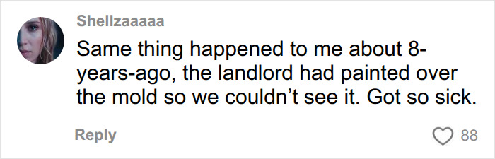 A comment from Shellzaaaaa about experiencing unexplained symptoms from landlord-painted mold, similar to the woman's story. A comment from Shellzaaaaa about experiencing unexplained symptoms from landlord-painted mold, similar to the woman's story.