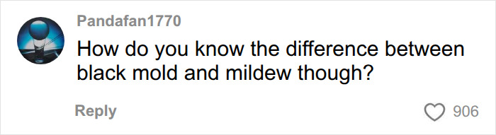 A comment from Pandafan1770 asking How do you know the difference between black mold and mildew though? related to unexplained symptoms months later. A comment from Pandafan1770 asking How do you know the difference between black mold and mildew though? related to unexplained symptoms months later.