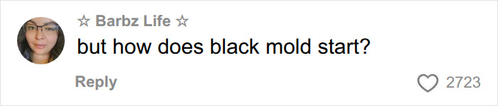 A comment asking about how black mold starts, relating to unexplained symptoms months later. A comment asking about how black mold starts, relating to unexplained symptoms months later.