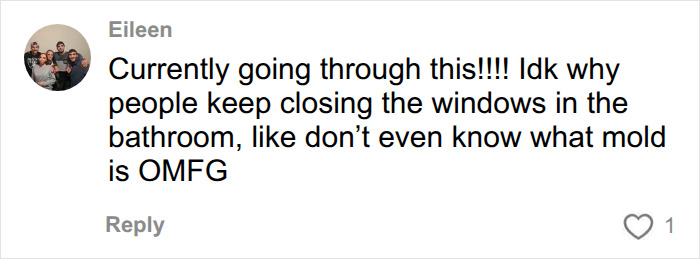 A comment from Eileen discussing unexplained symptoms, mentioning mold due to closed bathroom windows. A comment from Eileen discussing unexplained symptoms, mentioning mold due to closed bathroom windows.