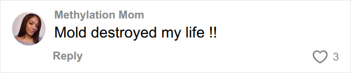 A social media comment from Methylation Mom stating Mold destroyed my life, relating to a woman's unexplained symptoms. A social media comment from Methylation Mom stating Mold destroyed my life, relating to a woman's unexplained symptoms.