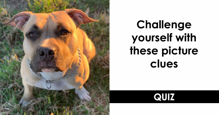 “How Fast Can You Combine These Images?”: Test Your Instincts In This Word Challenge