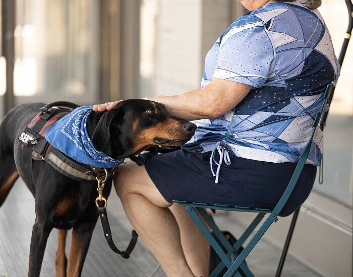 A service dog wearing a blue bandana looks up at a woman sitting in a chair. Women share what they put up with before walking away.