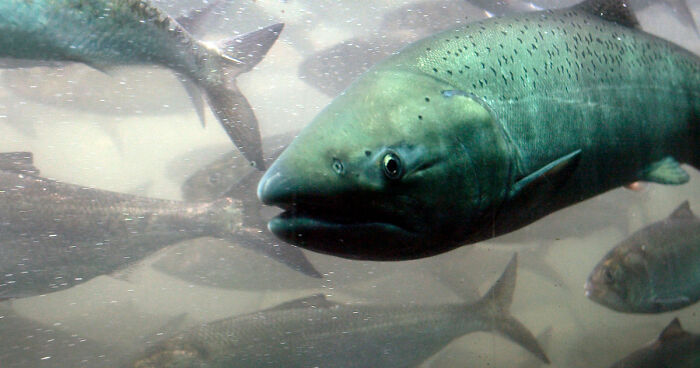 Your Weekend Bump Habit Is Giving The Fish In The River An Existential Crisis
