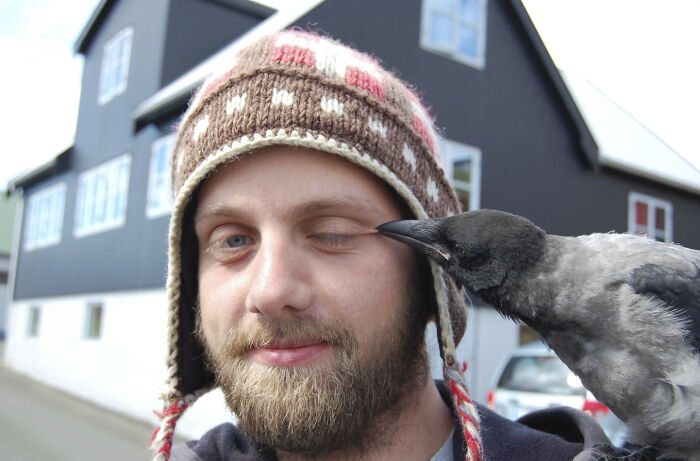 50 Perfectly Timed Animal Photos From This Online Collection That Are Almost Too Good To Be True