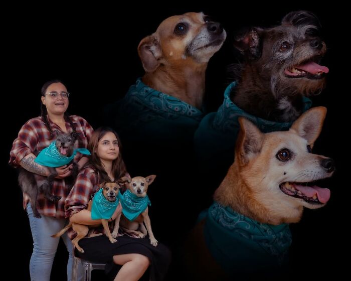 Silly portrait of two women and their three dogs, all wearing teal bandanas, against a dark background.