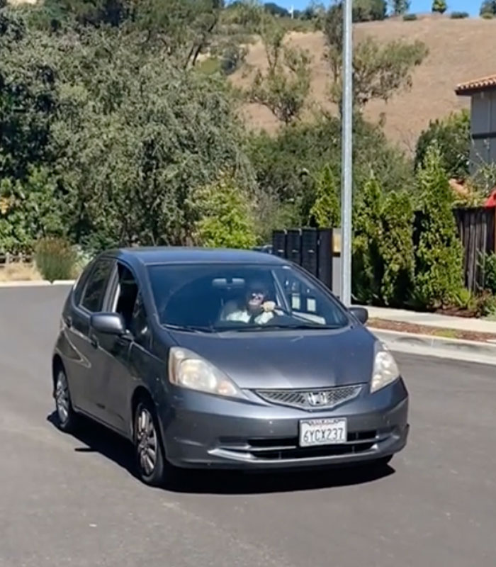 The Racist Karen drives her car in San Jose. The Racist Karen was arrested in San Jose. The Racist Karen drives her car in San Jose. The Racist Karen was arrested in San Jose.