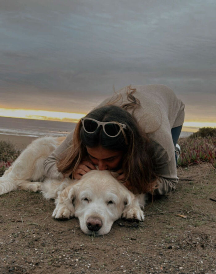 A woman affectionately hugs her golden retriever dog by the ocean, highlighting support for pet owners. A woman affectionately hugs her golden retriever dog by the ocean, highlighting support for pet owners.