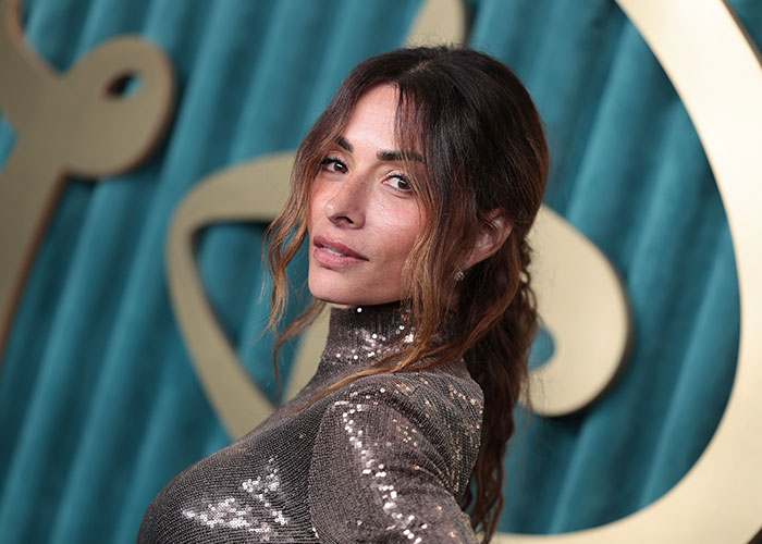 Hollywood actress poses on the red carpet, dressed in a sparkling gown.