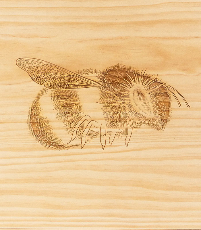 A detailed close-up of the wooden box featuring an intricate bee engraving, part of Beyoncé's exclusive merchandise. A detailed close-up of the wooden box featuring an intricate bee engraving, part of Beyoncé's exclusive merchandise.