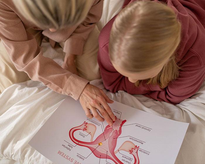Woman and child examining female reproductive system anatomy chart together Woman and child examining female reproductive system anatomy chart together