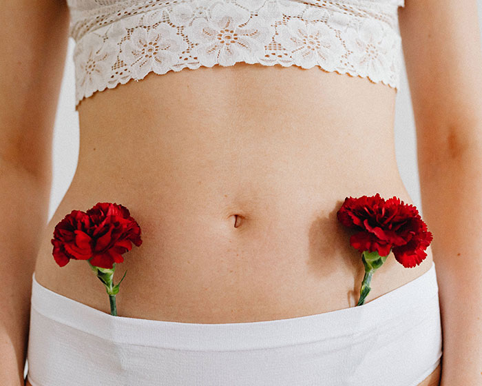 Close-up of woman's lower abdomen symbolizing female reproductive system with red flowers Close-up of woman's lower abdomen symbolizing female reproductive system with red flowers