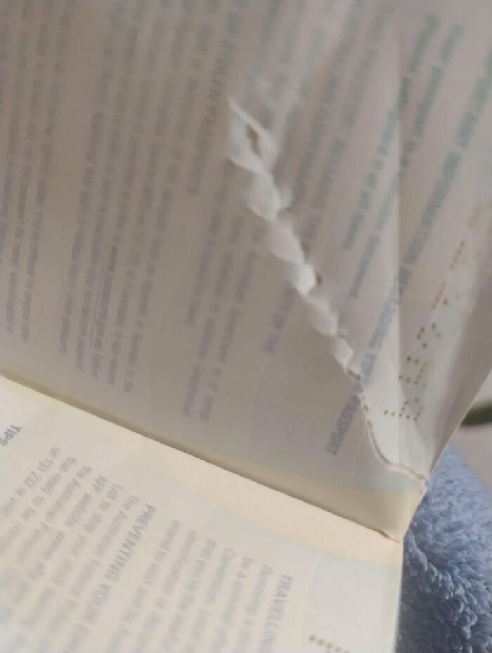 A torn page from a passport, symbolizing the pain of going no contact with a parent.