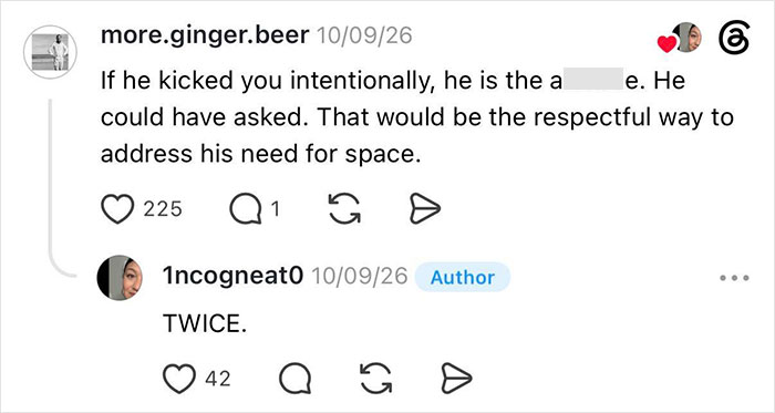 An online comment from 'more.ginger.beer' discusses the entitled man who kicked the woman under her seat.