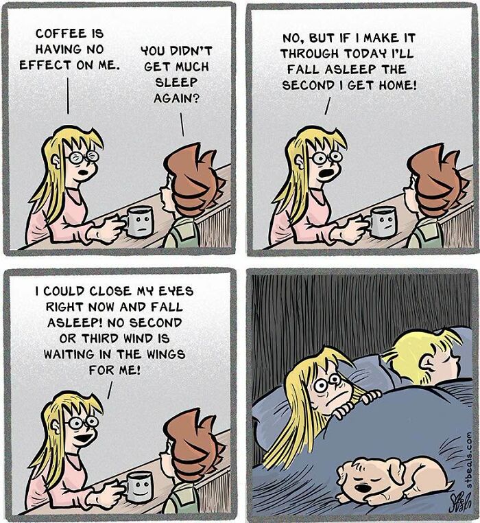 60 Funny Comics By Stephen Beals That Find Humor In The Chaos Of Everyday Life (New Pics)