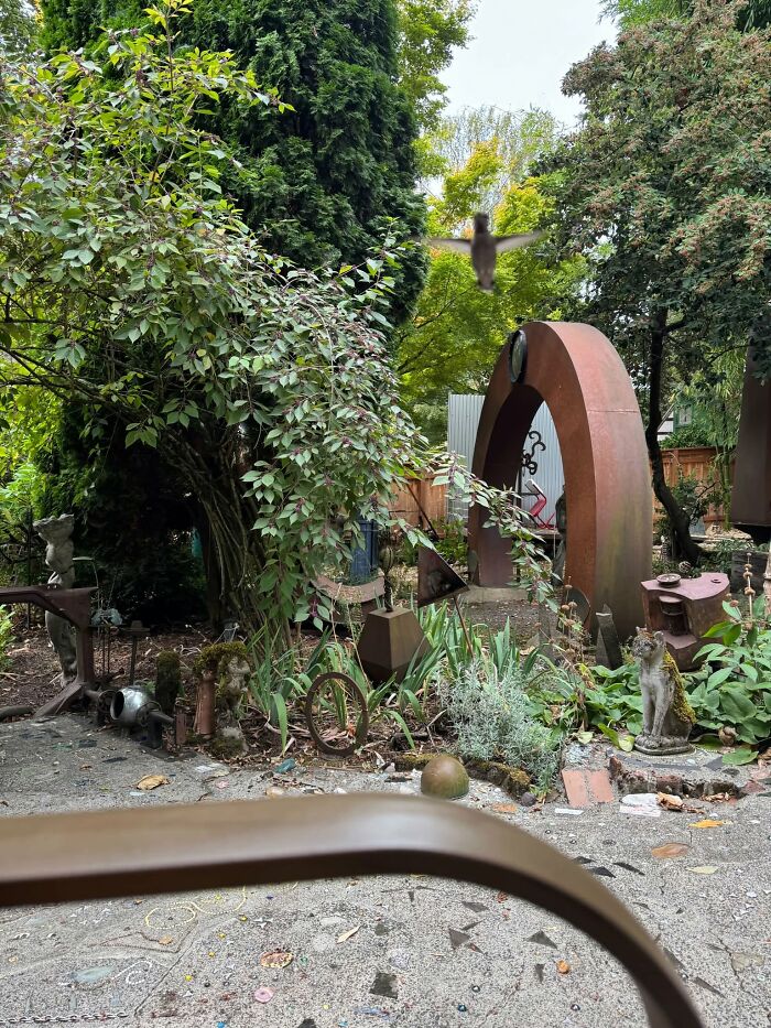 Garden scene with birds and outdoor sculptures surrounded by greenery in wildlife setting