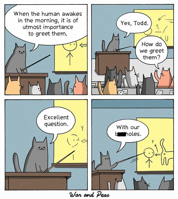 50 Hilarious Cat Comics By ‘War And Peas’ That Capture The Chaos Of Living With Feline