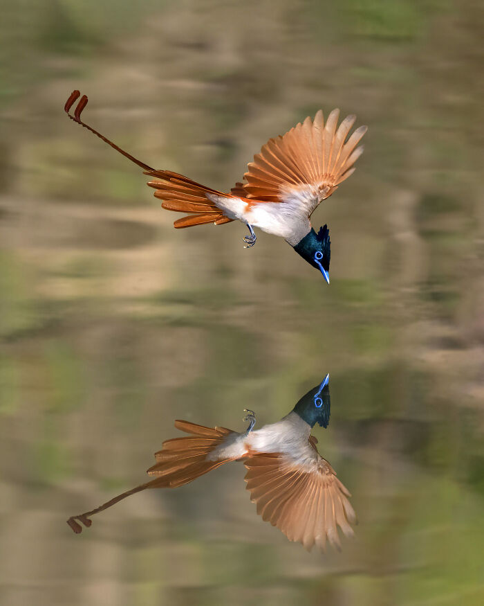 Reflection By Sanjoy Kumar