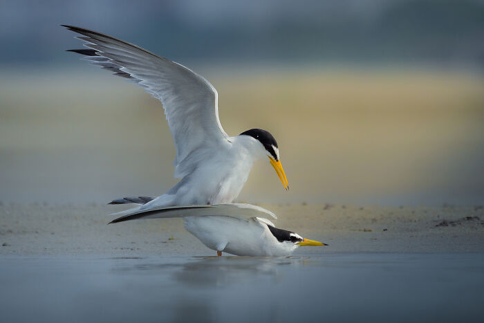 Making The Moment By Shadab Ishtiyak