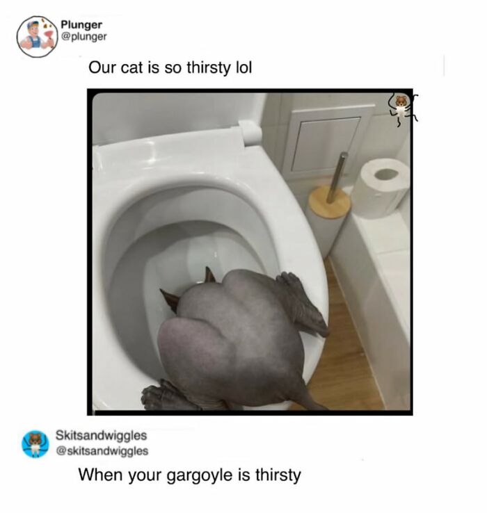 Random-Humorous-Memes