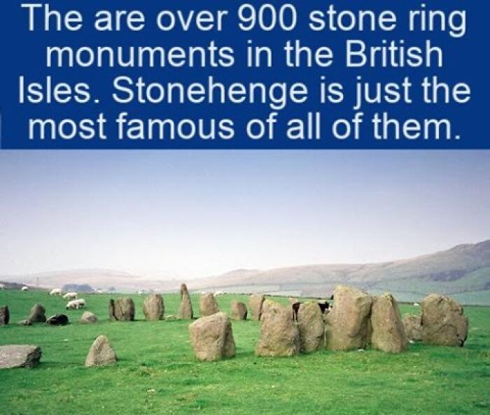 An ancient stone circle monument with grazing sheep, adding to interesting facts