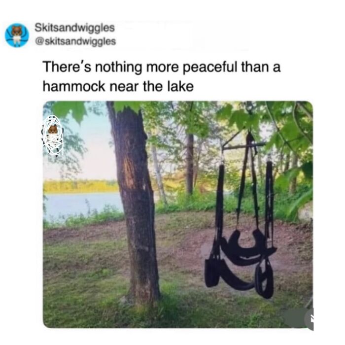 Random-Humorous-Memes