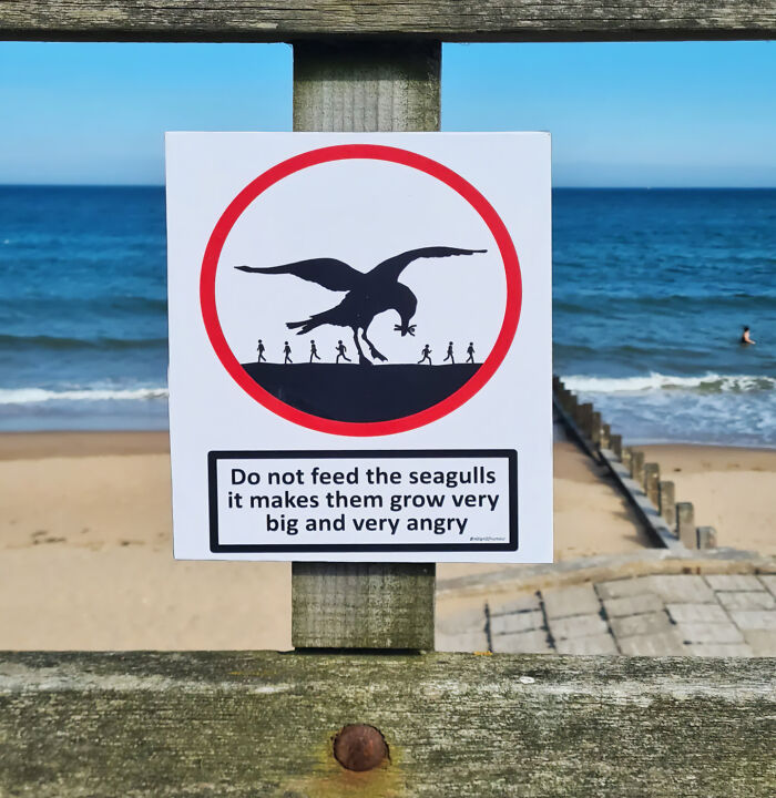 A funny sign on a wooden fence at a beach warns, Do not feed the seagulls it makes them grow very big and very angry.