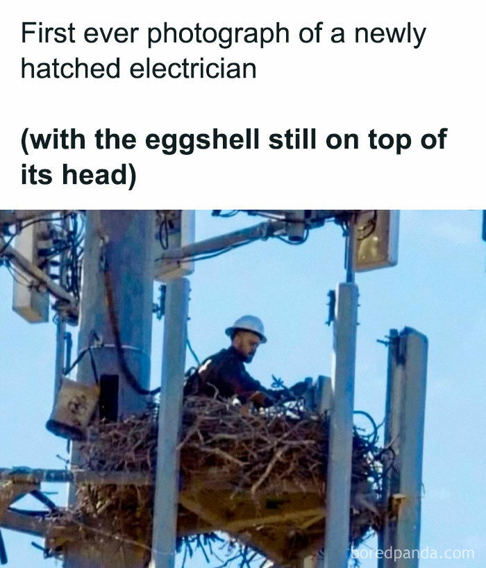 Roses Are Red And Poppies Are Also Red…