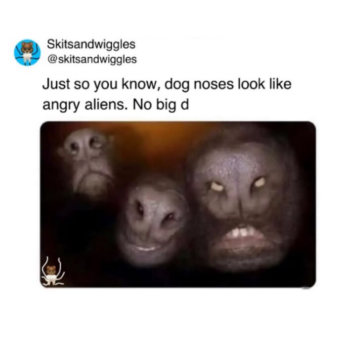 Random-Humorous-Funny-Memes