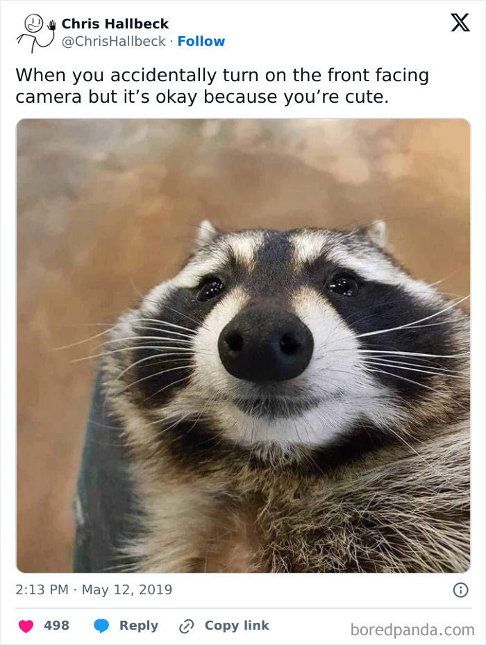 A chuckle-some meme of a raccoon's face, humorously captioned about accidentally turning on the front-facing camera.
