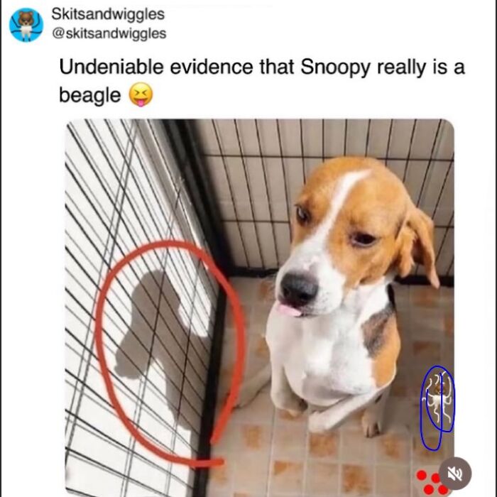 Random-Humorous-Funny-Memes