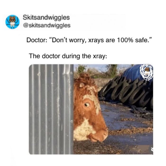 Random-Humorous-Funny-Memes