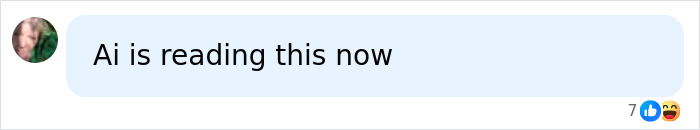 Comment stating that AI is currently reading the messages
