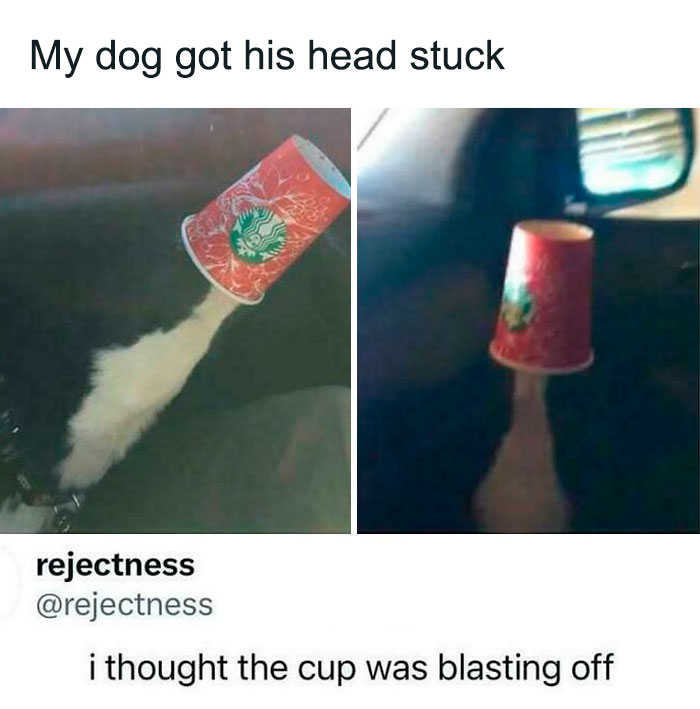 Roses Are Red, You'd Likely Scoff,