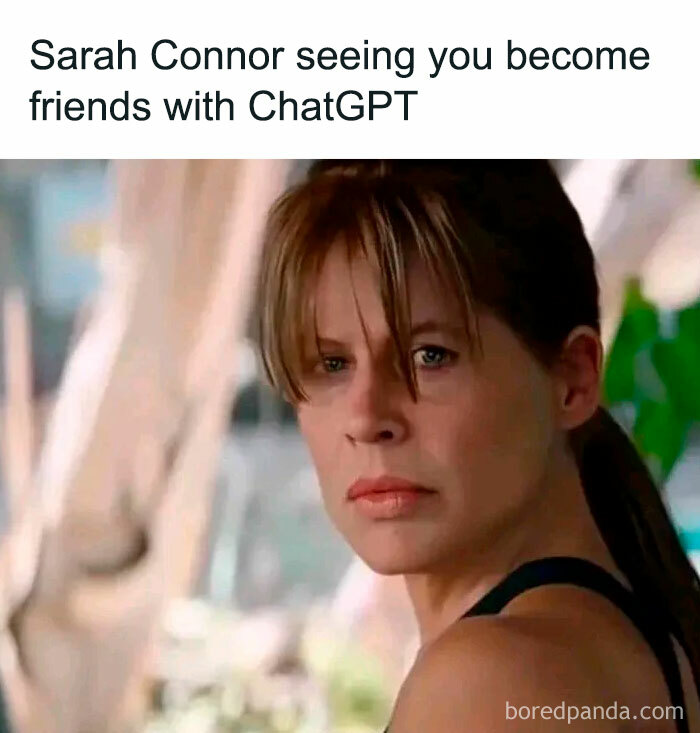 A meme from the online group Delusions Of Adequacy showing Sarah Connor looking concerned about ChatGPT.