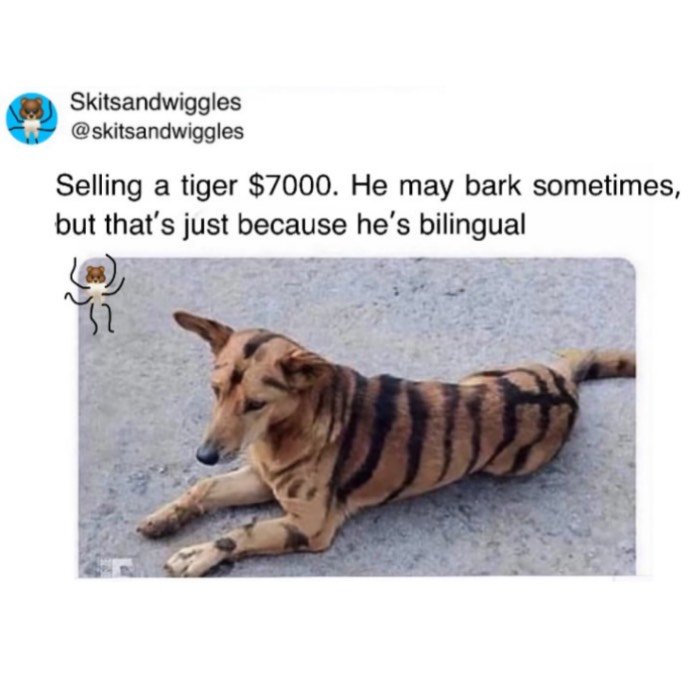 Random-Humorous-Funny-Memes