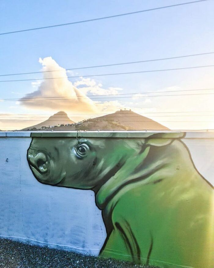 A stunning example of street art showing a green rhino mural on a wall with mountains and a cloudy sky in the background.