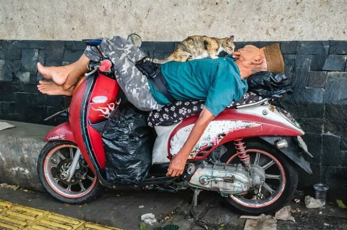 Jeffrey De Keyser street photography: a man sleeps on a scooter with a cat on his chest, animals steal the show.