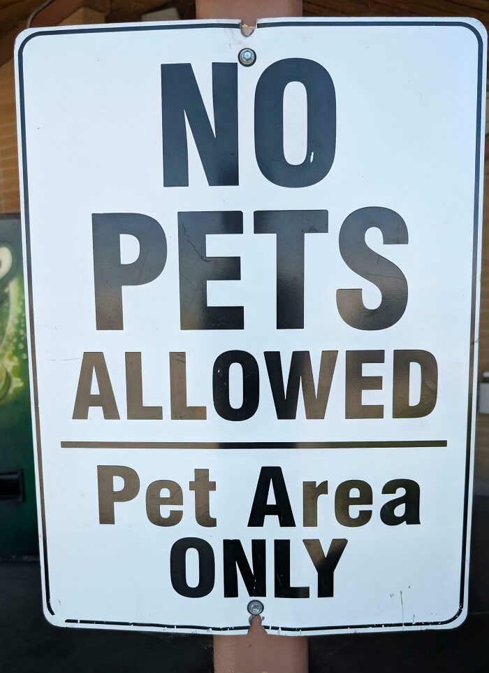A chaotic sign says NO PETS ALLOWED and then Pet Area ONLY, creating a contradictory message that questions reality.
