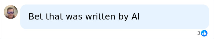 Comment suggesting text was written by AI technology