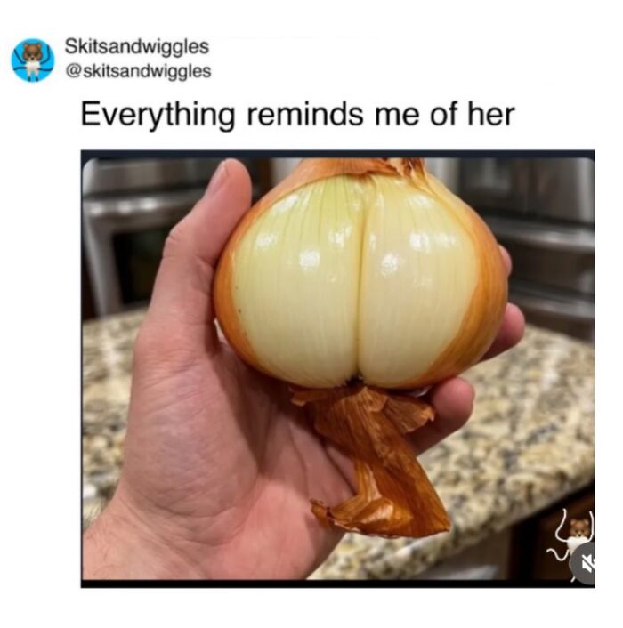Random-Humorous-Memes