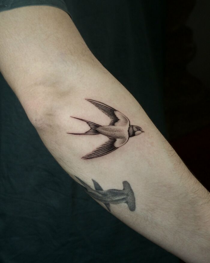 Realistic black ink swallow bird tattoo on forearm